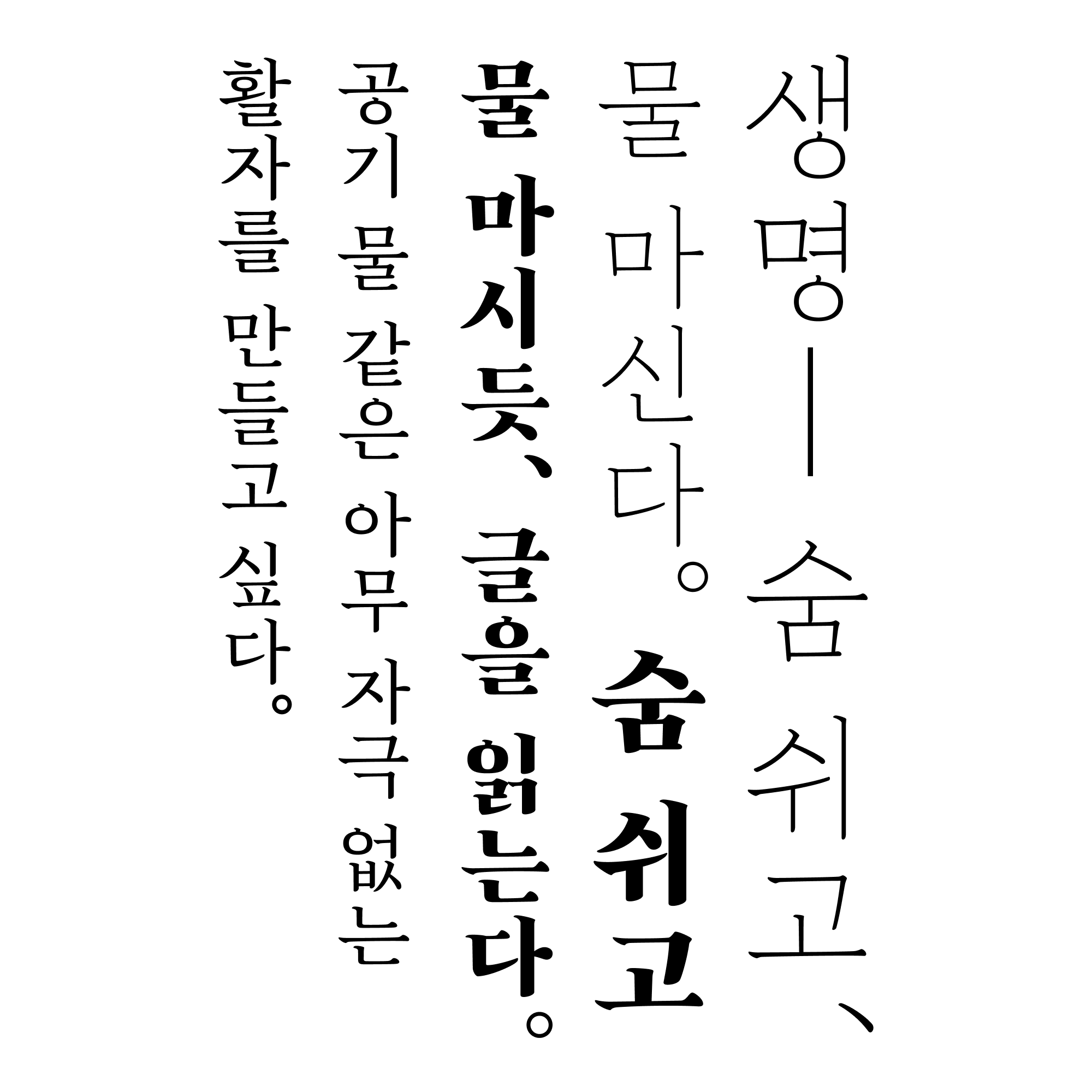 바람체 이미지